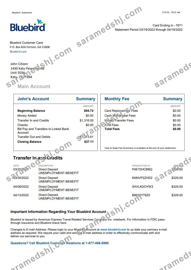 USA Bluebird bank statement